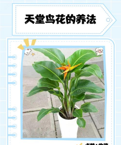 北京绿化设计，提升城市环境，改善居民生活