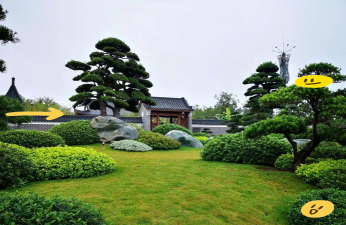 北京绿化设计，提升城市环境，改善居民生活