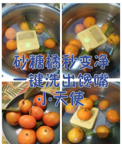 怎么清洗砂糖桔