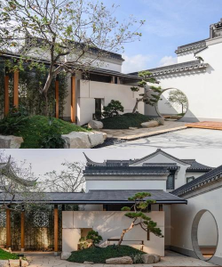 海棠树害虫防治，常见虫害识别，有效治理方法