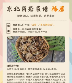 海棠树害虫防治，常见虫害识别，有效治理方法