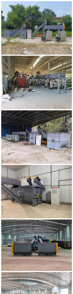 海棠树害虫防治，常见虫害识别，有效治理方法