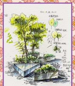 栀子花怎么养北方，解决常见问题，提供实用方法