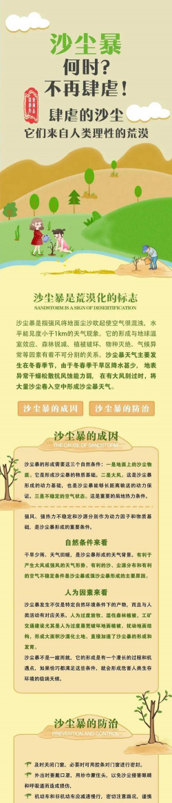 网上买了花应该怎么养，新手常见问题，实用养护指南