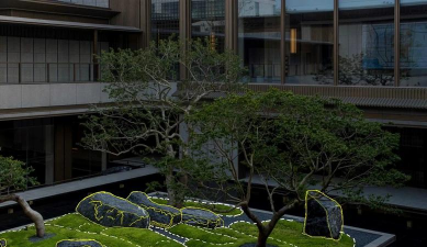 板栗寄生树防治，识别危害，科学处理