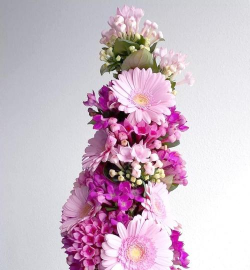 长寿花怎么养棒棒糖，造型技巧分享，新手也能学会