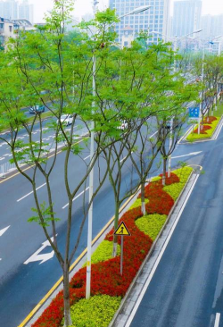 北京绿化设计，提升城市环境，改善居民生活