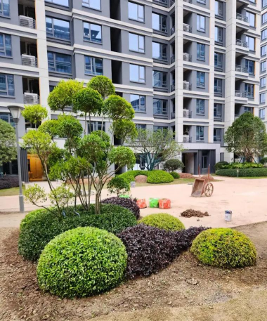 市政工程绿化设计，提升城市环境，改善居民生活