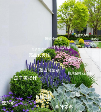 绿化魔纹设计图，提升庭院美感，打造独特景观