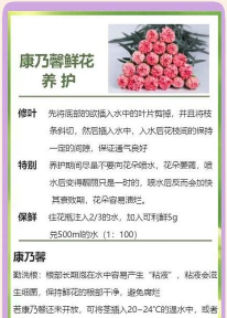 北京绿化设计，提升城市环境，改善居民生活