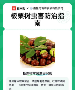 海棠树害虫防治，常见虫害识别，有效治理方法