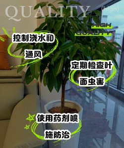 海棠树害虫防治，常见虫害识别，有效治理方法