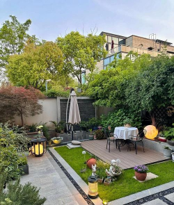 平安树的防治，常见问题解析，实用方法分享