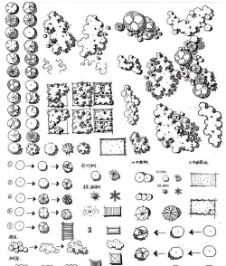 西红柿栽培技术视频，掌握关键步骤，轻松种出好番茄