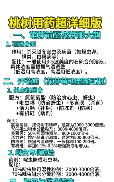 西红柿栽培技术视频，掌握关键步骤，轻松种出好番茄