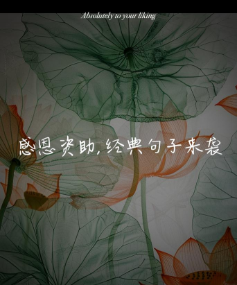 感恩栽培的句子，表达真挚谢意，传递温暖力量