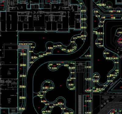 月季花应该怎么养，掌握关键技巧，轻松花开满园