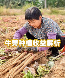 茉莉花的栽培方法，轻松上手，花开满园