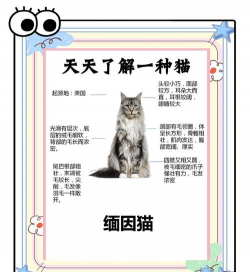 茉莉花的栽培方法，轻松上手，花开满园