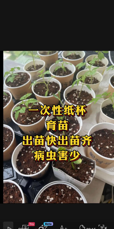 育苗栽培,选对方法,轻松上手 育苗栽培,选对方法,轻松上手