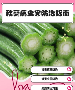 秋葵树病害防治,常见问题识别,有效应对方法 秋葵树病害防治,常见问题识别,有效应对方法