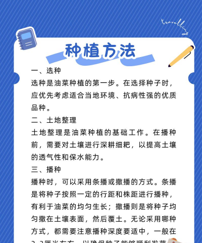 油菜栽培技术要点，掌握关键步骤，实现高产稳产