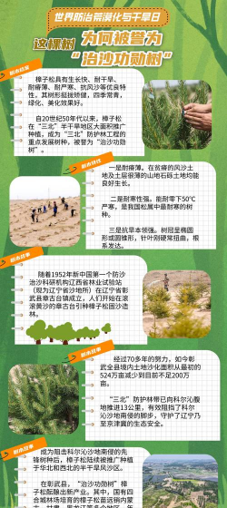 北京绿化设计，提升城市环境，改善居民生活