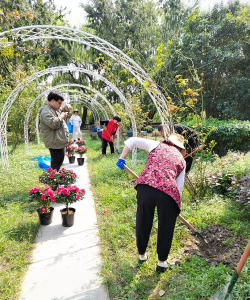 家庭养花用生根粉