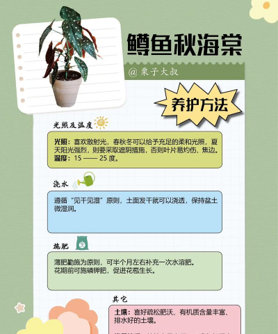 鳟鱼海棠花怎么养，掌握关键技巧，轻松养出好状态