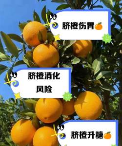 脐橙早衰树防治,找准原因,对症下药 脐橙早衰树防治,找准原因,对症下药