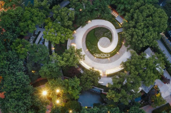 紫薇树蚜虫防治，识别虫害特征，掌握有效方法