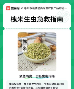 姜堰大道绿化设计，提升城市形象，改善居民生活