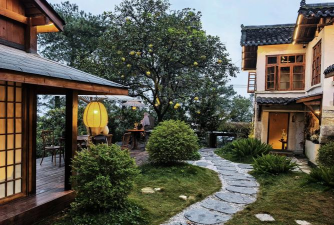 长寿花怎么养棒棒糖，造型技巧分享，新手也能学会