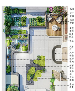 长寿花怎么养棒棒糖，造型技巧分享，新手也能学会