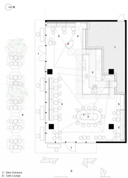 长寿花怎么养棒棒糖，造型技巧分享，新手也能学会