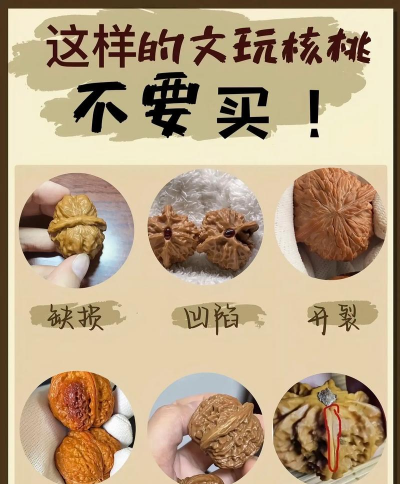 长寿花怎么养棒棒糖，造型技巧分享，新手也能学会