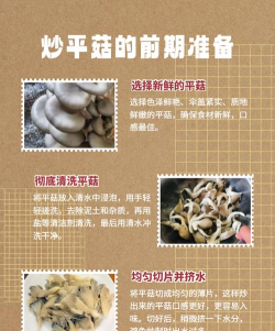 长寿花怎么养棒棒糖，造型技巧分享，新手也能学会