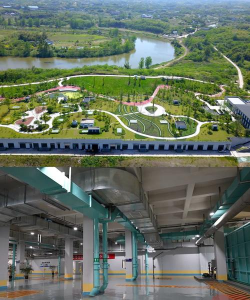 长寿花怎么养棒棒糖，造型技巧分享，新手也能学会