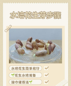 无土栽培有什么优点，了解核心价值，掌握实用技巧