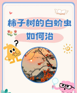 无土栽培有什么优点，了解核心价值，掌握实用技巧