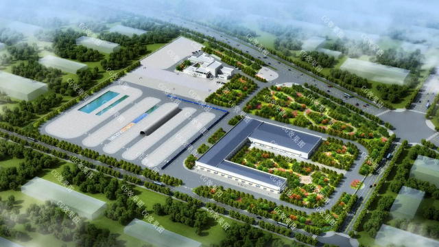 宝石花是怎么养的，轻松掌握技巧，新手也能养好