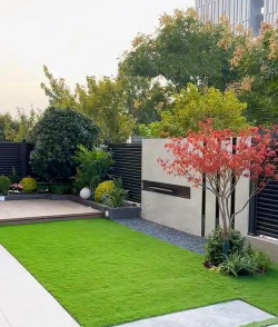 宝石花是怎么养的，轻松掌握技巧，新手也能养好