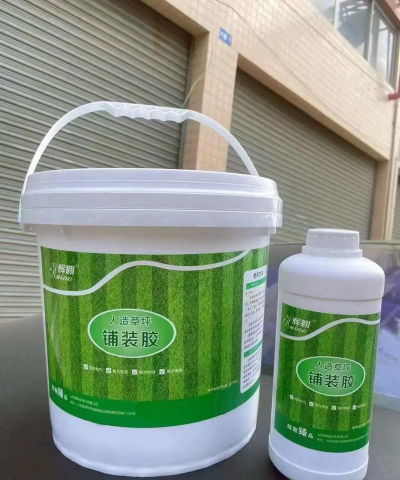 宝石花是怎么养的，轻松掌握技巧，新手也能养好