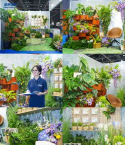 汇展绿化设计,提升展会效果,打造绿色空间 汇展绿化设计,提升展会效果,打造绿色空间