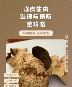 陈皮树防治虫害,常见问题解析,实用应对方法 陈皮树防治虫害,常见问题解析,实用应对方法
