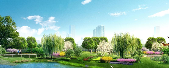 姜堰大道绿化设计，提升城市形象，改善居民生活