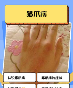 姜堰大道绿化设计，提升城市形象，改善居民生活