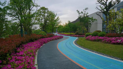 长寿花怎么养棒棒糖，造型技巧分享，新手也能学会