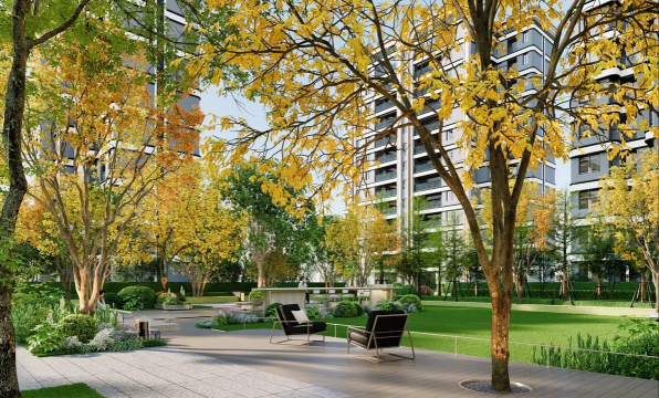 长寿花怎么养棒棒糖，造型技巧分享，新手也能学会