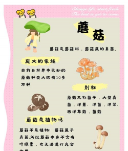 长寿花怎么养棒棒糖，造型技巧分享，新手也能学会